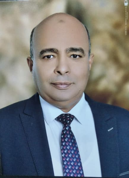 عبدالمحسن البكرى المحامى بالنقض